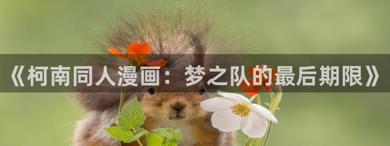 地球尽头漫画虫虫漫画：《柯南同人漫画：梦之队的最后期限》